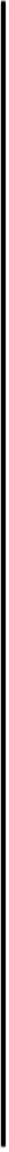 Black vertical 	line